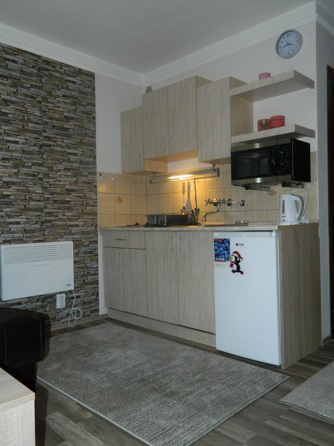 Apartment Sofi Yeti Kopaonik Eksteriør billede